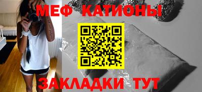 шишки Кингисепп