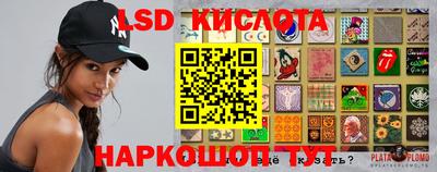 шишки Кингисепп