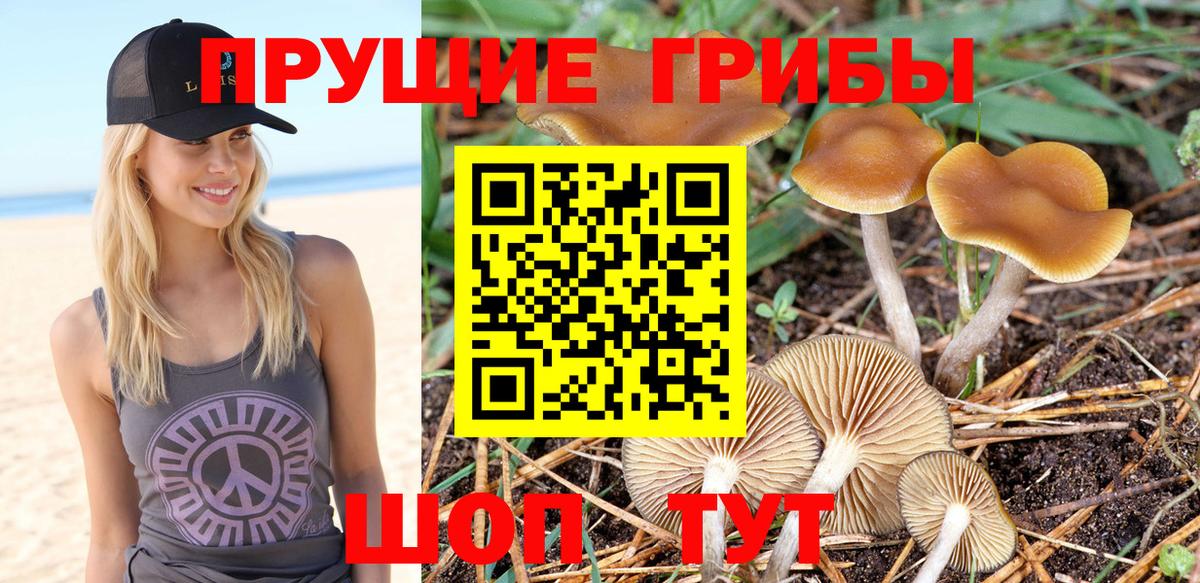 Псилоцибиновые грибы Magic Shrooms Кохма