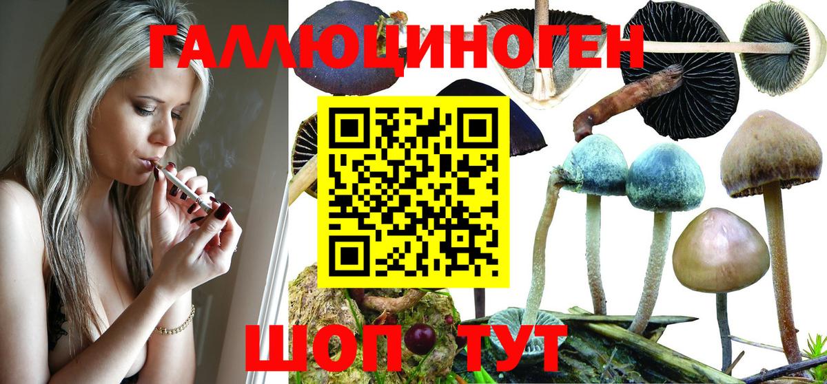 Псилоцибиновые грибы GOLDEN TEACHER  Вход с VPN  Галлюциногенные грибы Cubensis  Кохма 